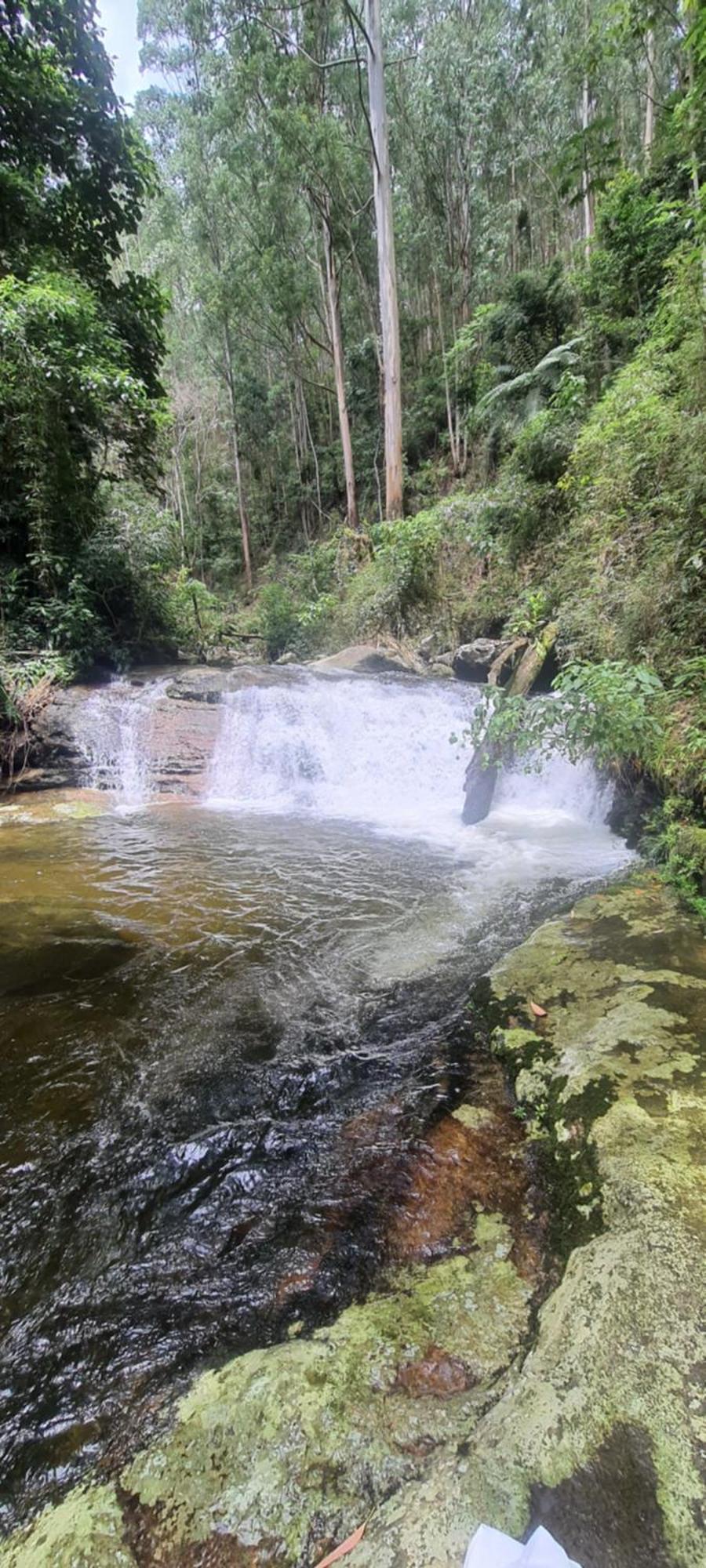 Ferienwohnung Ap Centro Cascatinha Prox Parque Nova Friburgo Exterior foto